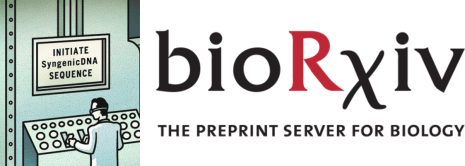 bioRxiv
