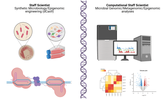 Johnston_2021_StaffScientists