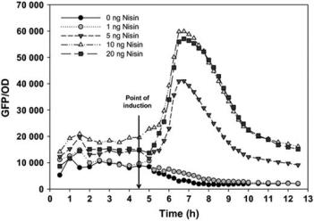 m_fim12040-fig-0003-m